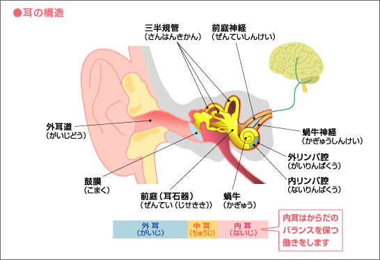 性 原因 回転 めまい